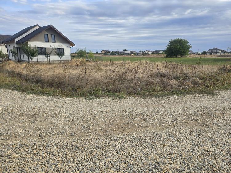 Vand teren Comuna Berceni ilfov - 3