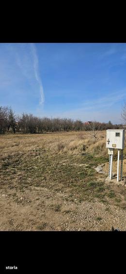 Teren Ghermanesti-Ciofliceni, Snagov, Str. Stefanita Voda, negociabil - 9