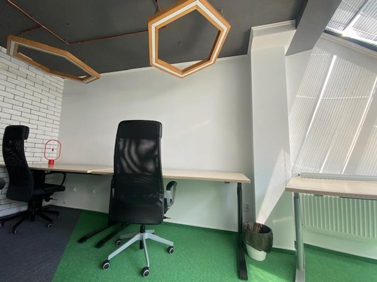 Cismigiu-Mircea Vulcanescu - 9