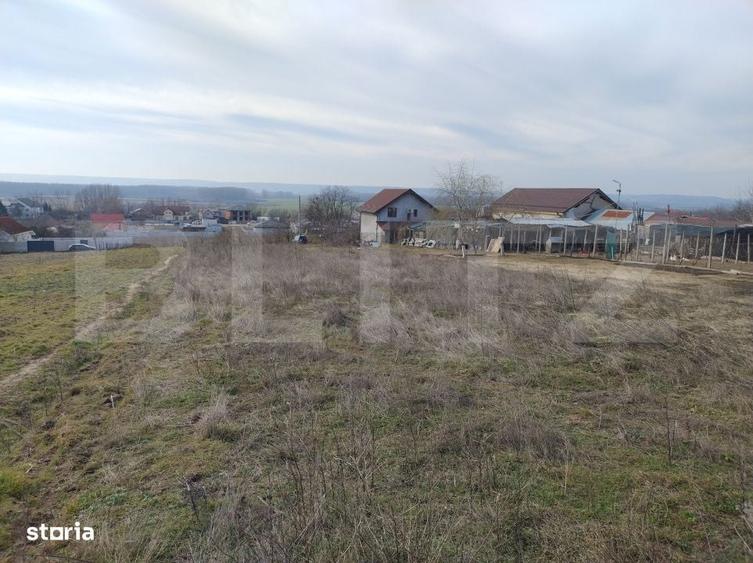 Teren intravilan, Malu Mare, 1469 mp, Aleea I Nucilor - 1