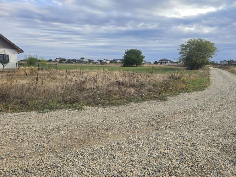 Vand teren Comuna Berceni ilfov - 2