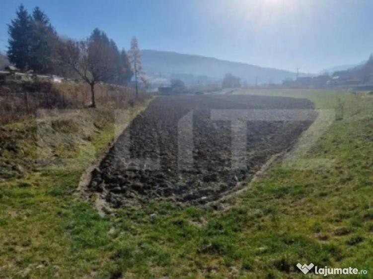 Teren extravilan - Sita Buzaului -6800 mp posibilitate trece - 8