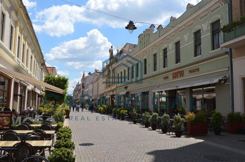 Apartament stilat, ultracentral-Alecsandri, ideal pentru locuire sau investiție - 1