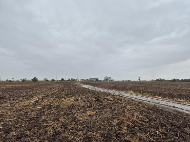 Metro Ploiesti - Paulesti, vanzare teren 39.144mp. - 4