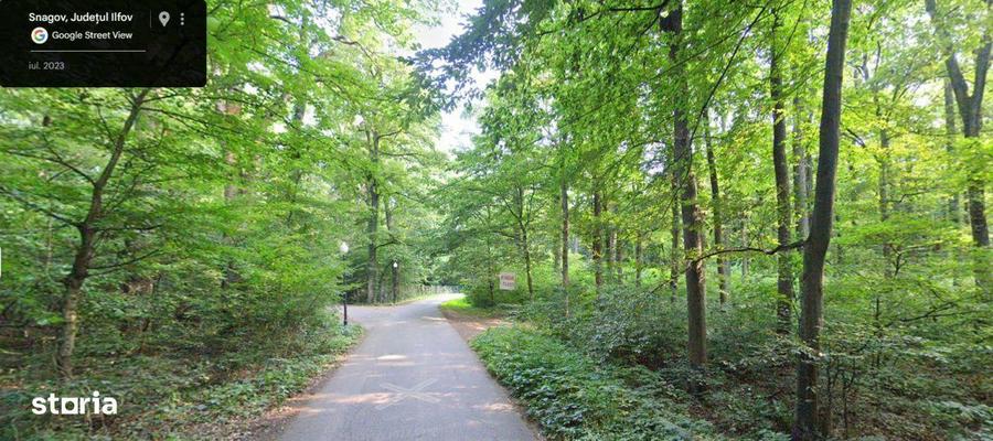 Teren de Vis pe malul lacului Snagov / 4000 mp in inima Naturii /40 m - 5