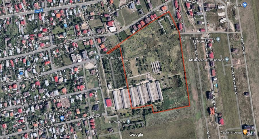 Teren 80.084 mp Otopeni - Intrarea Mesteacanului - 1