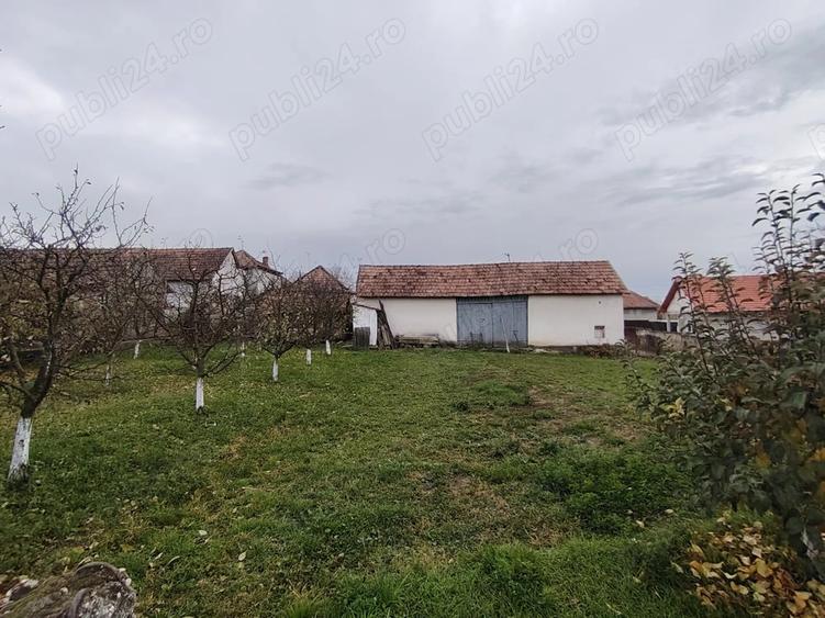 Casa locuibila, cu doua corpuri, utilita?i, 1200 mp teren - 5