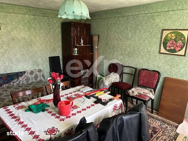 Casa la tara cu teren 3940 mp si livada zona linistita - 6