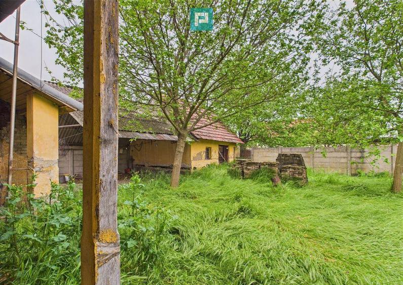 Casa de reabilitat pe teren generos- Comuna Varia? - 18