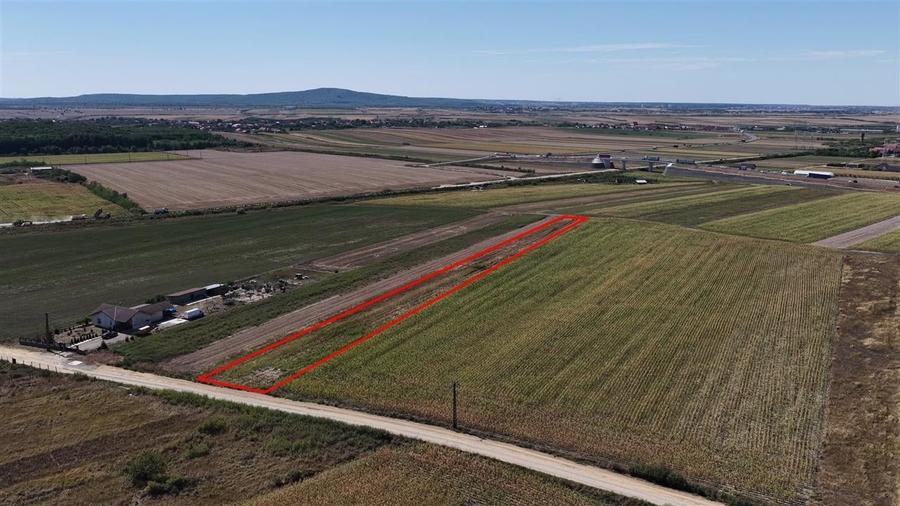 RECO Teren Intravilan Osorhei - 4