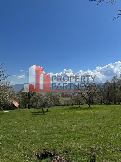 Terenuri Bran - Predelut  Priveliște către Bucegi și Postăvaru - 10