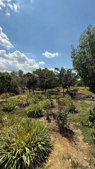 Casa de vanzare Ialomita - 5