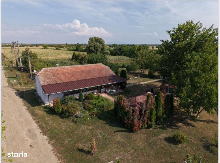 Spatiu multifunctional Salonta - 3