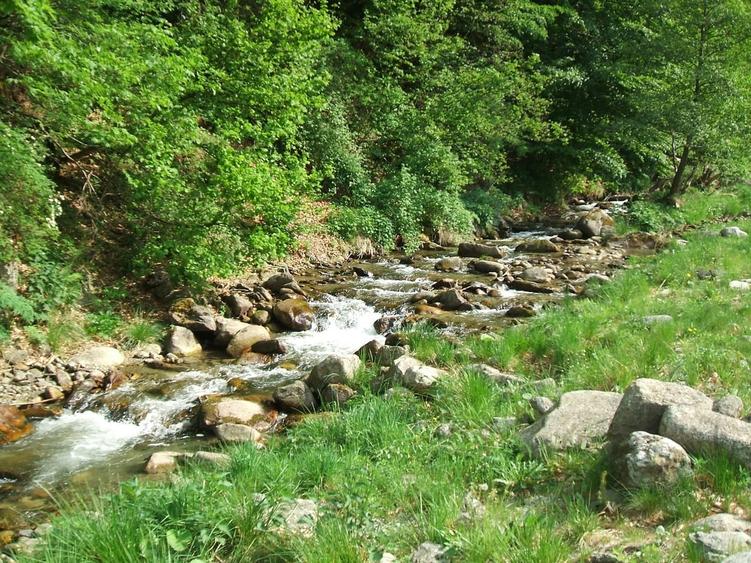 Raul Mare Retezat, spre statiunea de schi Rausor, Judetul Hunedoara - 4