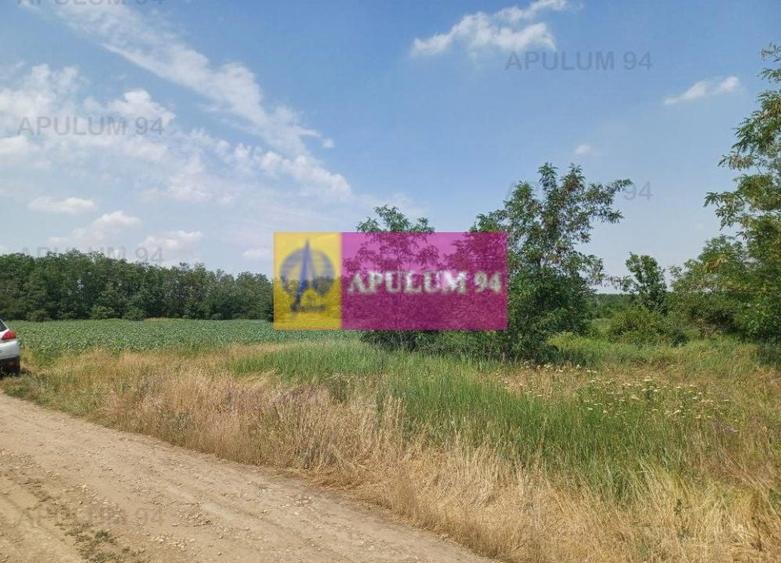 Săbăreni, teren 12620 mp pentru case, lângă pădure - 3