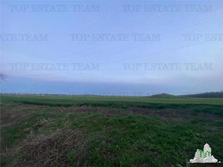 Teren intravilan 15000 mp Costinesti, Constanta - 6