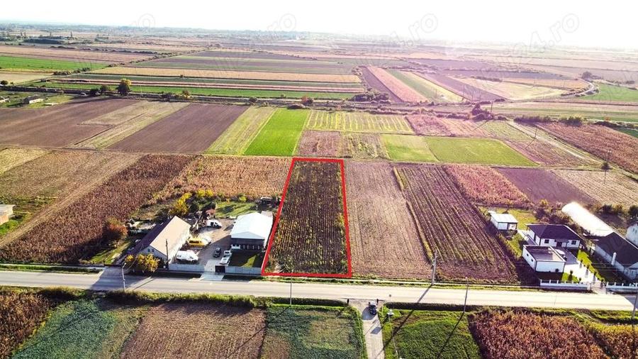 Teren intravilan de vanzare 3000 mp, Botiz, str. Sirul Mare, la doar 7 km de centrul Satu Mare - 10