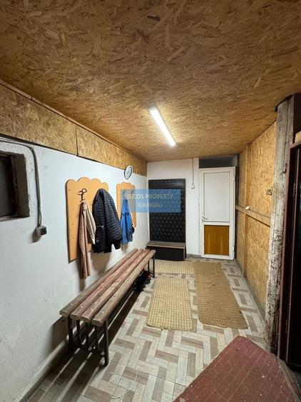 Proprietate industrială de vânzare sau închiriere – Comuna Frătești - 6