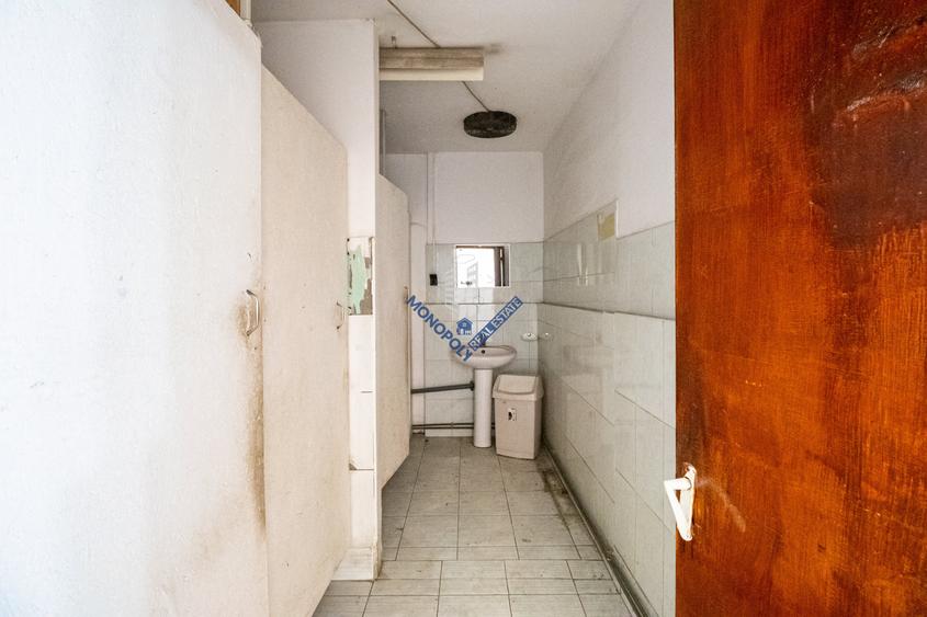 Hală industrială – Oligopol – comision 0% - 17