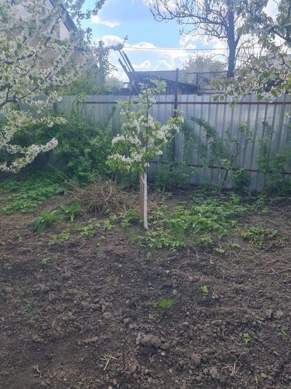 Casa batraneasca - cartierul CFR - 5