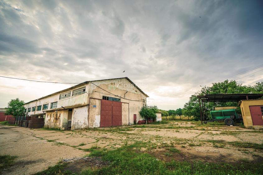 Inchiriere hala pentru depozitare sau productie  – Poarta Alba