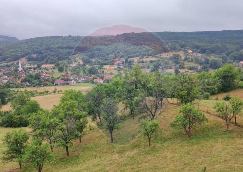 Casa de vacanta cu 6 camere de vanzare Suncuius - 2