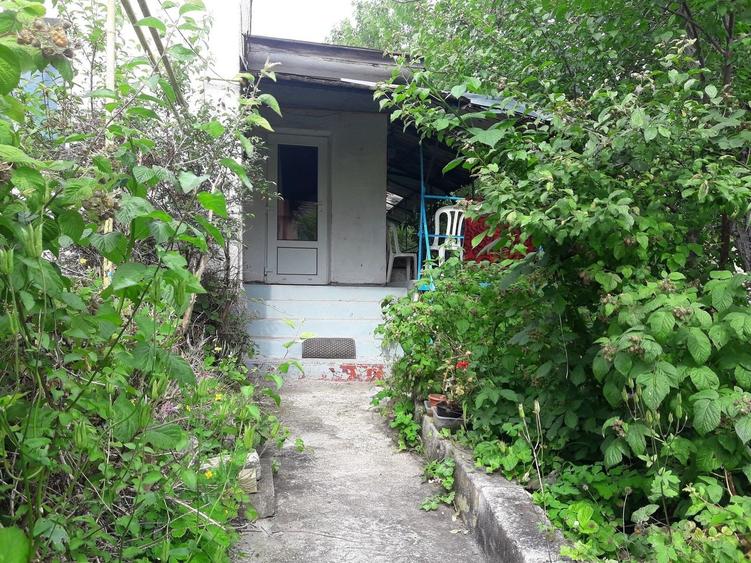 Casă cu 737 mp teren  în  Dambul Rotund - 1