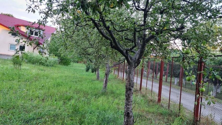 Casa spatioasa S+P+E cu teren generos de 2000mp - 1