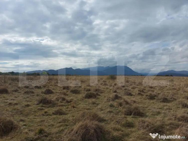Teren de vanzare in Rasnov zona Glejerie, 10.000 mp - 8