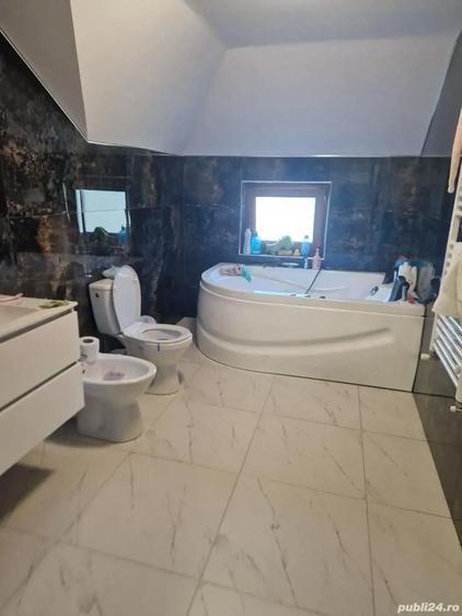 A 49 Vila LUX Letea , 320 mp utili cu 2294 mp teren intravilan - 8