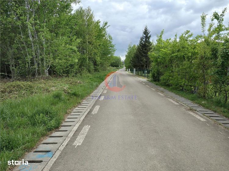 Parcele Teren Lacul Surduc Fardea - 2