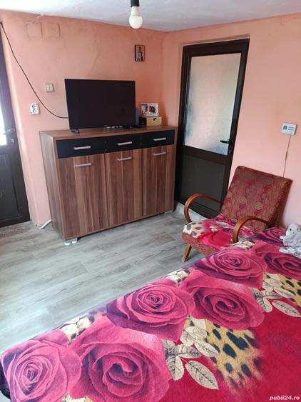 Casa de vanzare Calina,Prundeni - 4