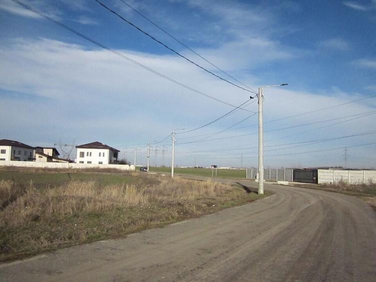 Domnesti-Narciselor - 4