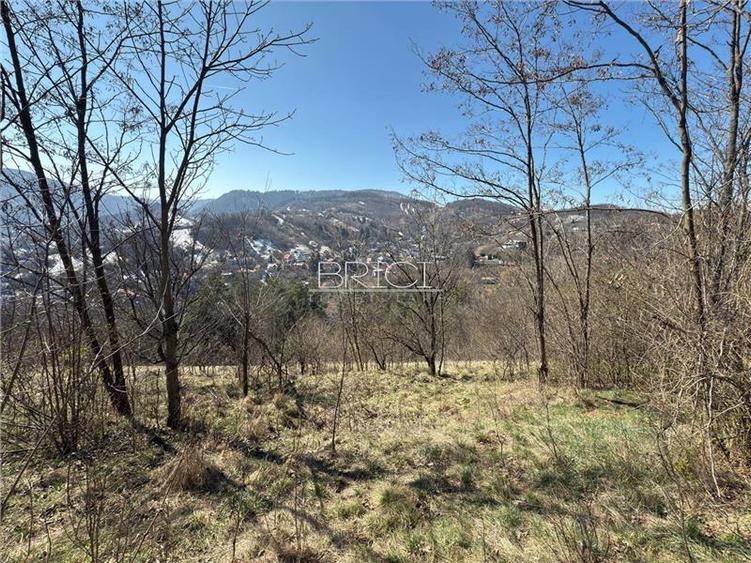 Oportunitate! Teren, 1000 mp, zona Hotel Belvedere, Drumul Poienii - 2