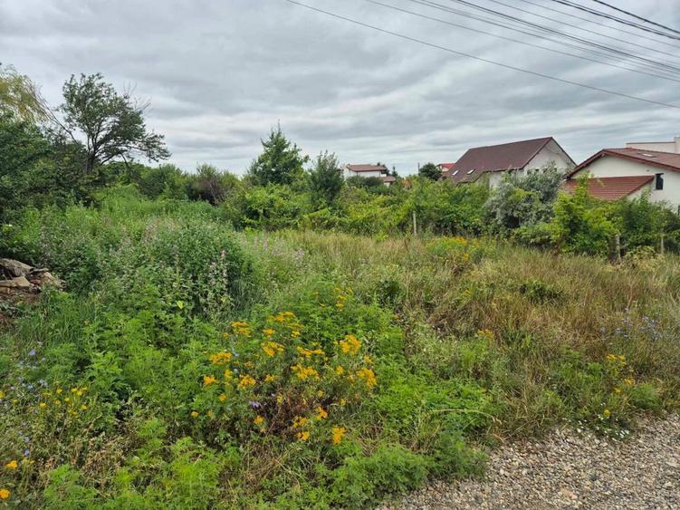 Vand Teren Visan Birnova intravilan - 4