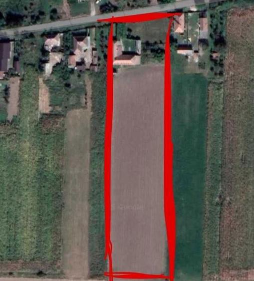 Case de vanzare in comuna Tamaseu - 5