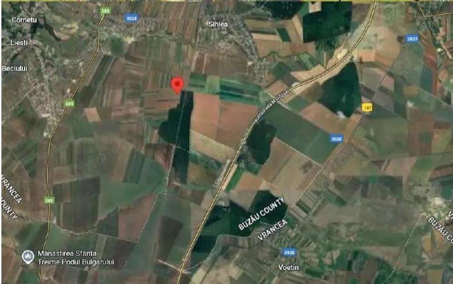 Teren extravilan Obrejita, ID: R2832813 - 9