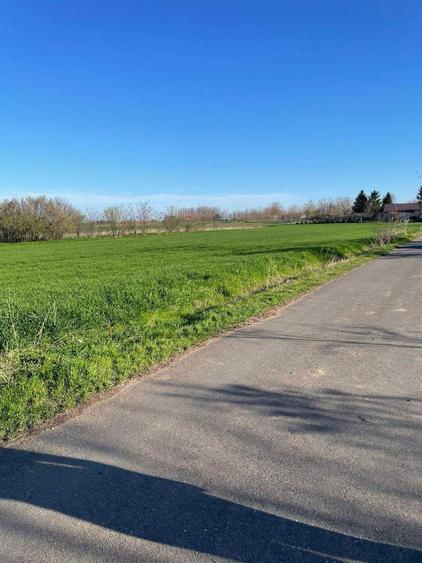 teren intravilan de vanzare 1500mp in Visini - 1