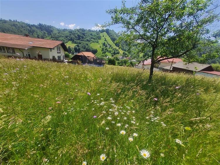 FILM! 1.450 mp intravilan, la DN, incantare peisagistica, Bran, Moieciu, Brasov - 31