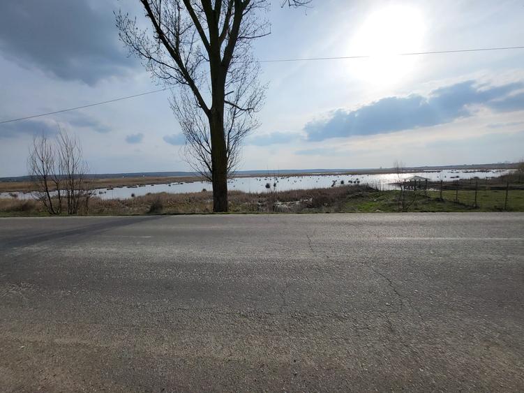 Teren intravilan situat într-o zonă superbă , vis-a-vis de Parcul Natural Comana - 2