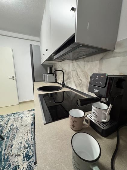 Apartament cu 1 camera de inchiriat in Giroc - 6