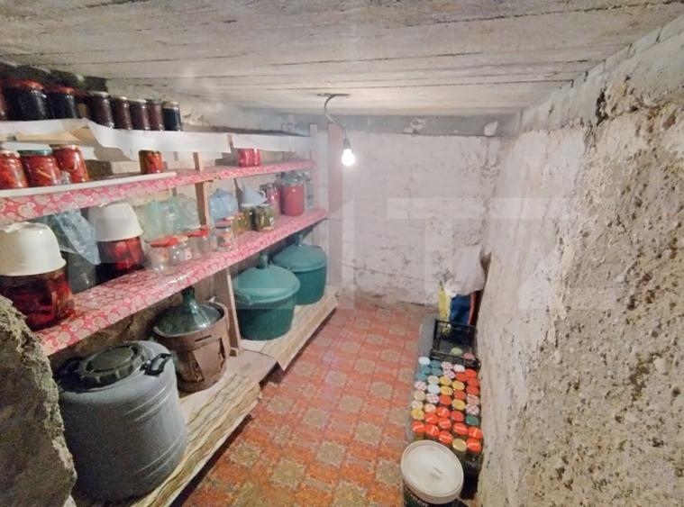 Casa P, 90 mp, 516 mp teren, deschidere 20 m, zona Romanesti - Bucura - 13