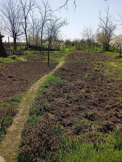Casa locuita in prezent, de vanzare - 1