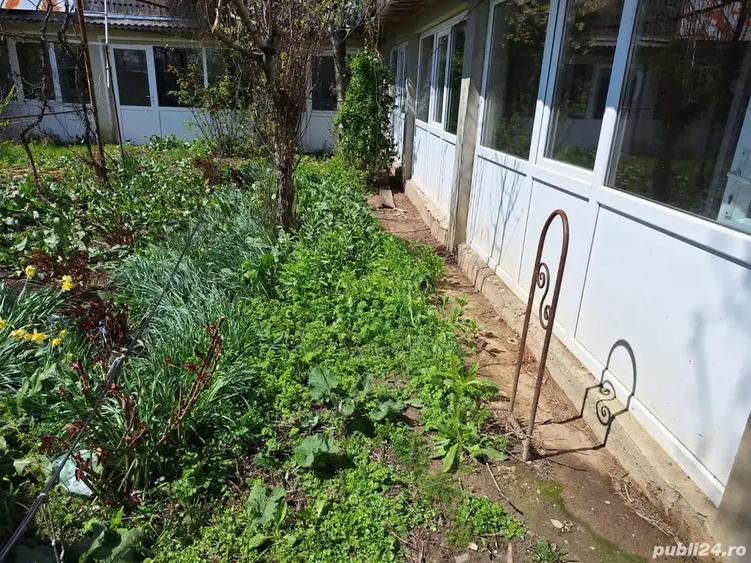 A 24 case 10000 mp teren Seciuieni Bacau - 10