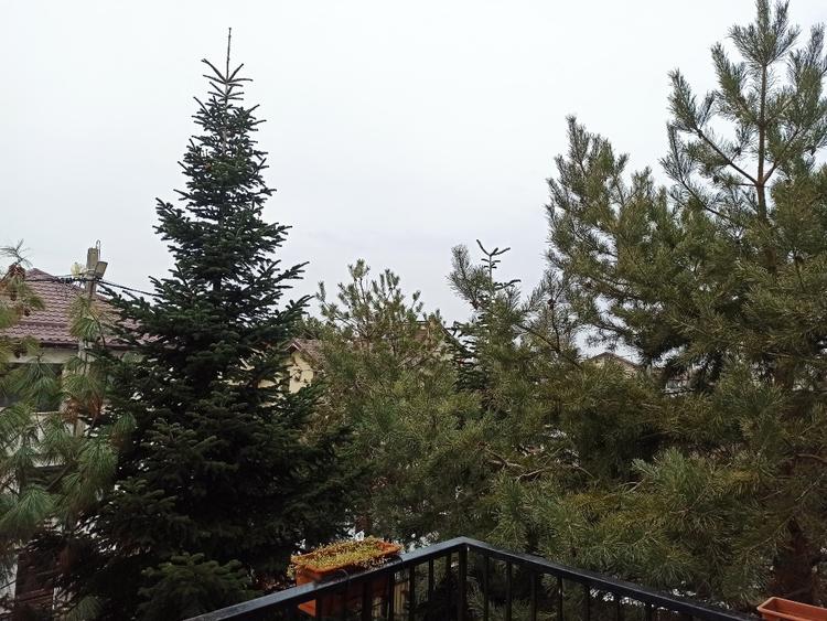 De vânzare casa in zona liniștită  - 4