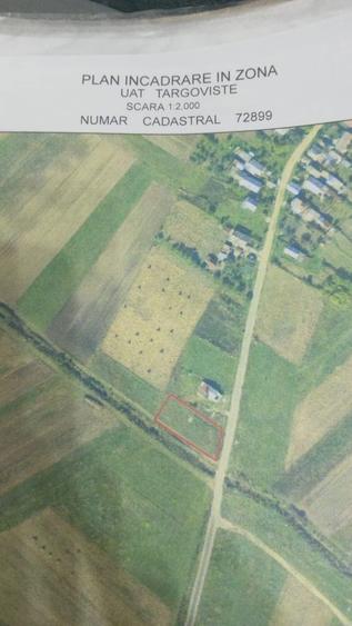 Teren in Priseaca - 6
