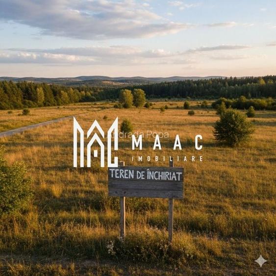 Teren de închiriat | 2.000 Mp | Viile Sibiului Teren de închiriat | 2.000 Mp | Viile Sibiului