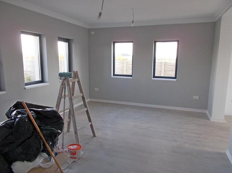 Casa individuala, parter, Mosnita Noua, 4 camere, 500mp teren  - 3