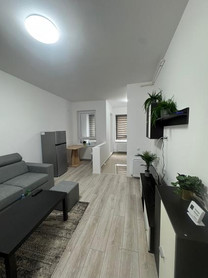 Apartament 2 camere,mobilat si utilat-Ilie Petre 88 - 4