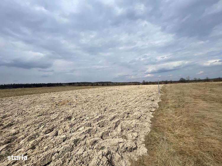 TEREN EXTRAVILAN | 23 ARI | HORODNIC DE SUS - 1